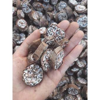 Chuối hột rừng thái lát sấy khô 500g