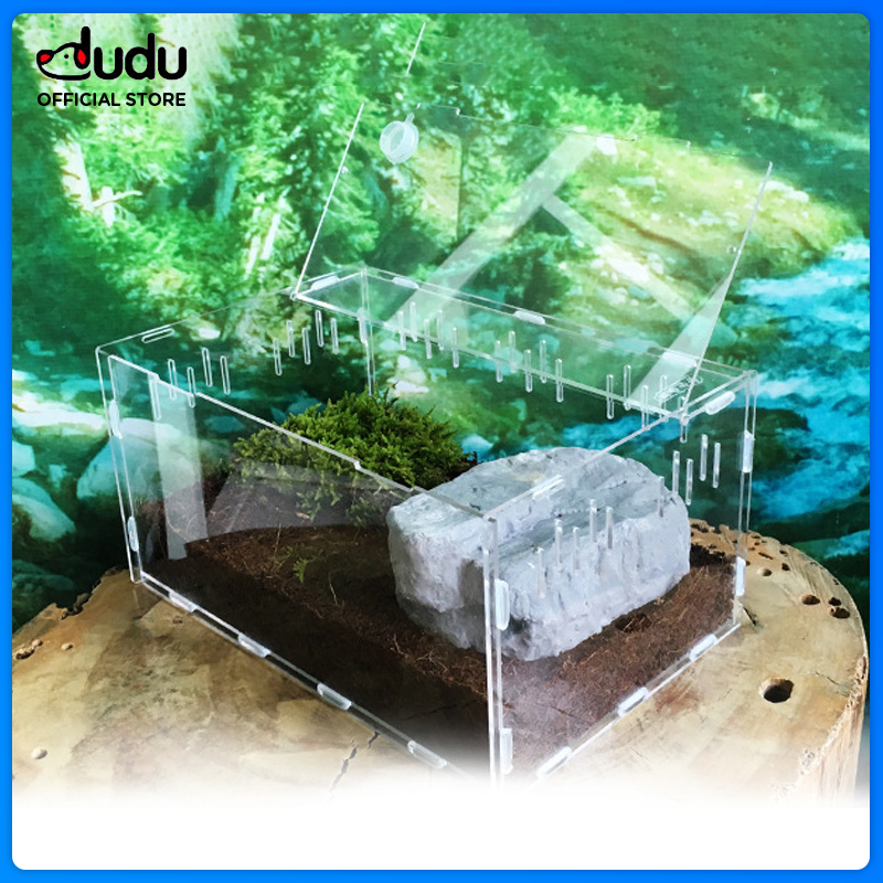 DUDU Pet Reptile Snake Feeding Box Breeding Hatching Container Lizard Tarantula Habitat Transparent Plastic Mini Pet Houses for Spider Scorpion 29*19.6*15cm Harga  95 Ringgit*Penghantaran Percuma