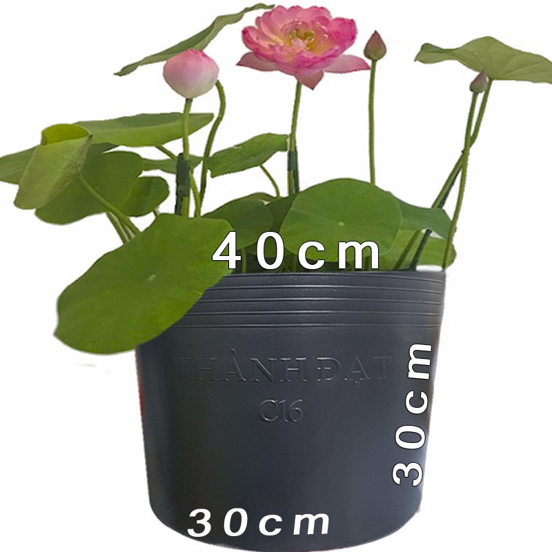 25 chậu nhựa dẻo 40x30x30cm bít lỗ trồng sen bền từ 5 đến 10 năm- 77330
