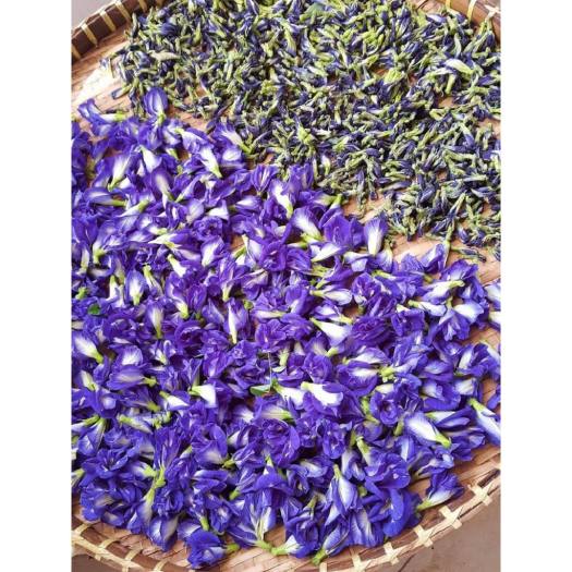 1kg hoa đậu biếc khô giá sỉ