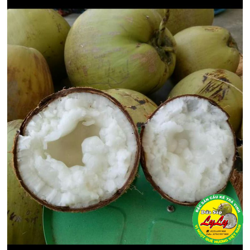 Dừa sáp bi 500g đặc ruột cầu kè