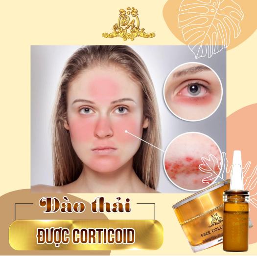 COMBO DƯỠNG DA KEM FACE & SERUM COLLAGEN X3