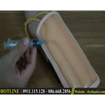 Mô hình tiêm truyền - Thực hành tiêm tĩnh mạch