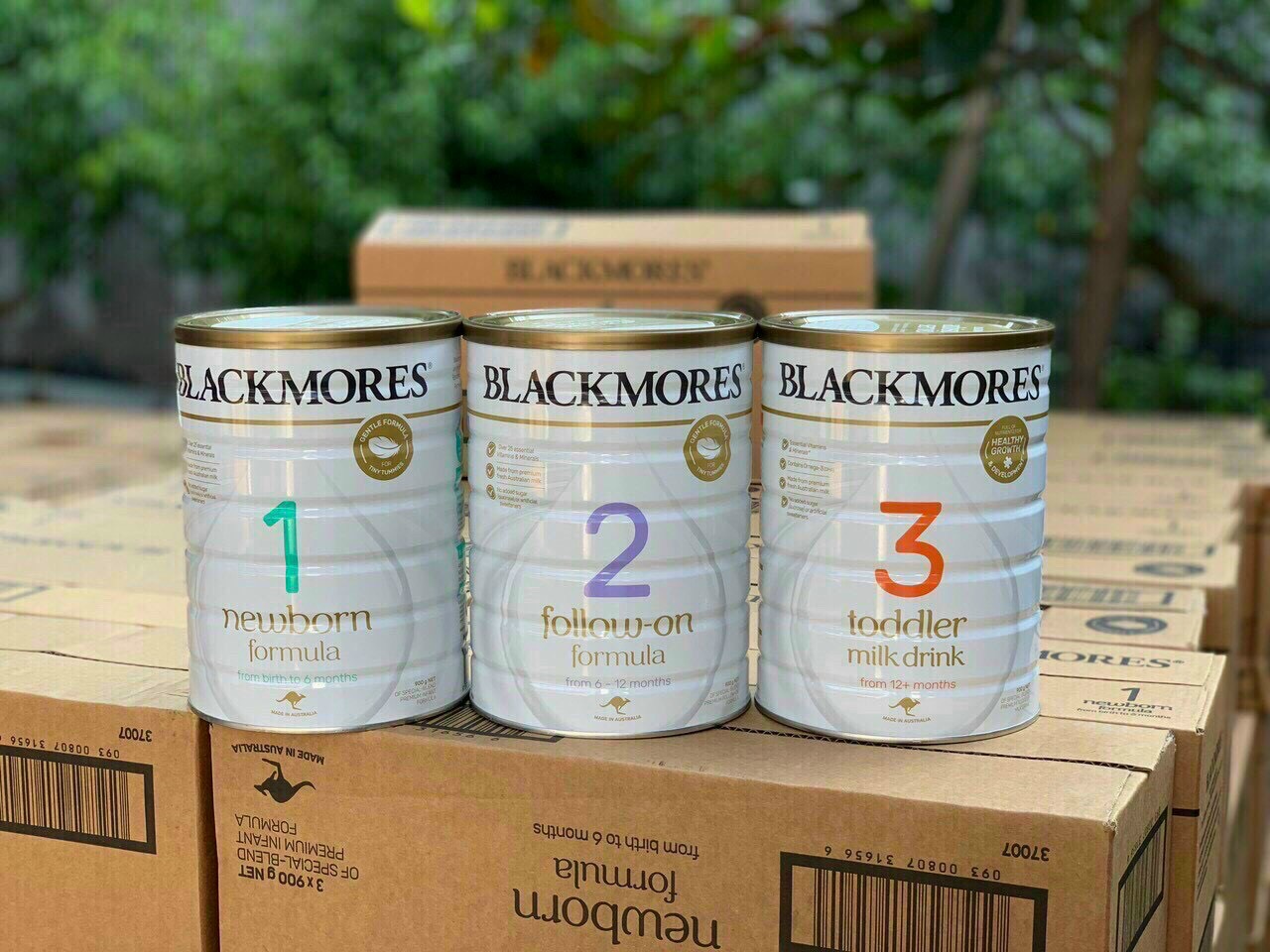 Sữa blackmores nội địa úc số 1 2 3 900 gram