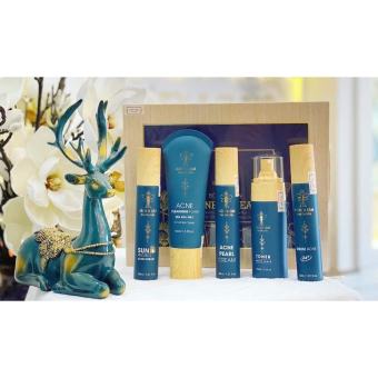 Combo 5 sản phẩm chăm sóc da tại nhà Bách Y Sâm Nhất Mộc Hương cho da dầu, da mụn