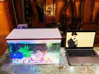 Bộ bể cá cảnh 40cm có lọc kèm nắp đèn và 8 món, bể cá văn phòng xinh đẹp
