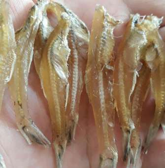 1kg cá cơm khô phú quốc loại ngon