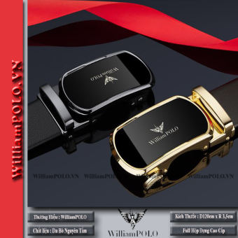 Dây lưng nam cao cấp , dây nịt nam da bò WilliamPOLO - WP02
