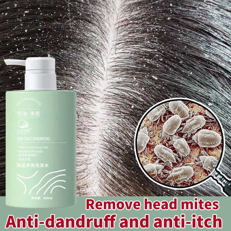 Gambar Amino Acid Sea Salt Shampoo long lasting fragrance Anti dandruff and itching goosebumps shampoo 500ml remove grease maintain scalp lock in moisture