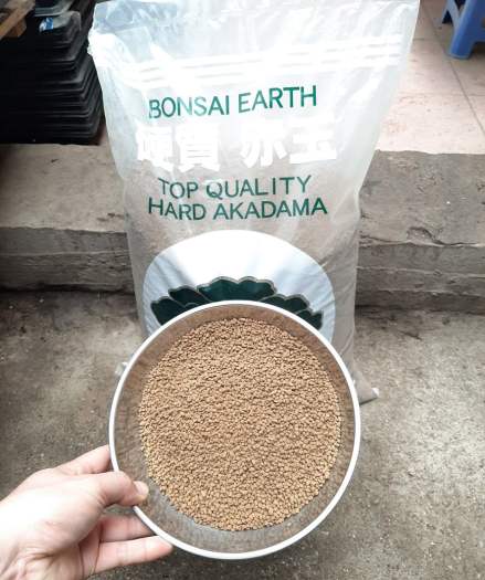 Đất Akadama trồng sen đá, xương rồng , gói 500g