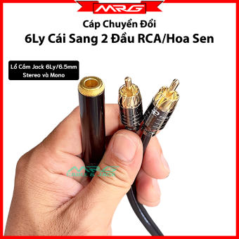 Cáp Chuyển Đổi Jack 6 Ly Cái Sang 2 Đầu AV Hoa Sen, dài 50cm | jack chuyển 2 av ra 6ly cái, dây 6ly cái ra 2 av hoa sen, jack chuyển 6ly cái ra 2 av.