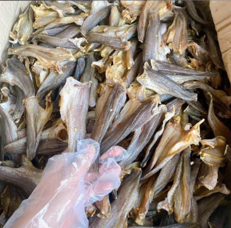 500gram khô cá lóc cửng nguyên con bỏ đầu đặc sản cà mau