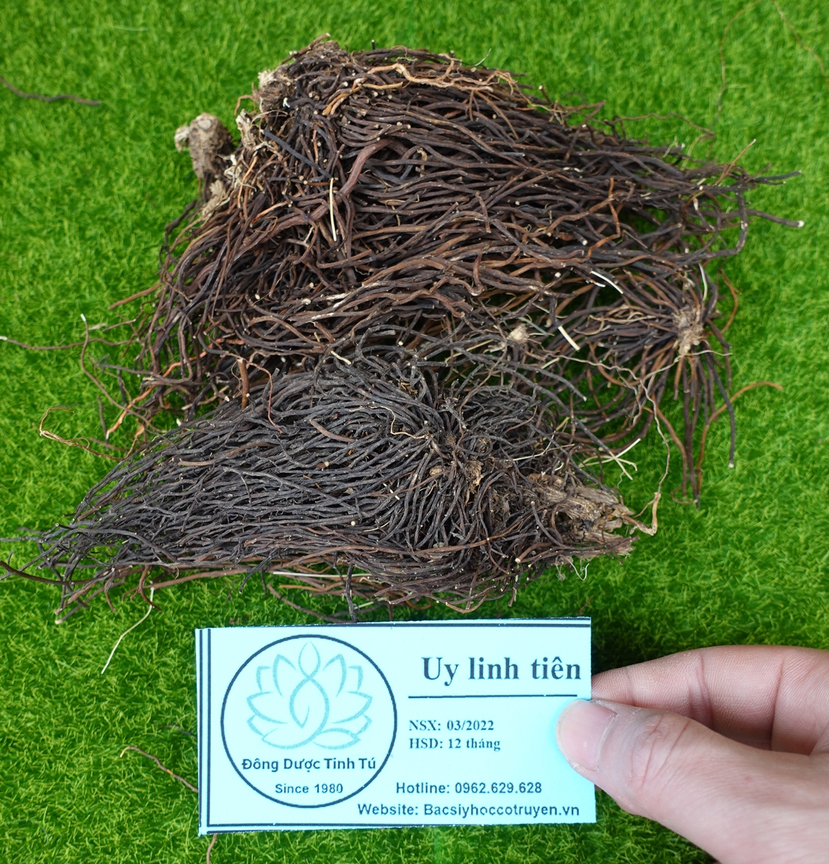 Uy linh tiên 100g, dược liệu loại 1, khô, sạch