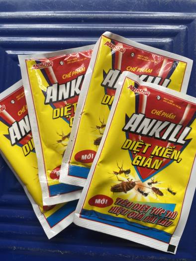 Thuốc diệt kiến sinh học diệt kiến gián tận gốc dạng bột rắc thuốc diệt kiến không mùi diệt kiến gián trong nhà