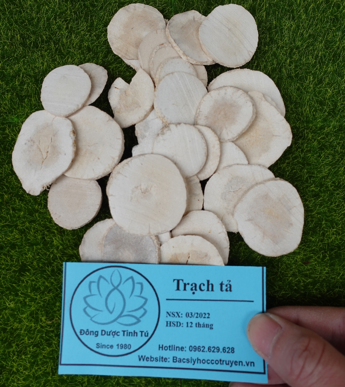 Trạch tả 100g, dược liệu loại 1, khô, sạch
