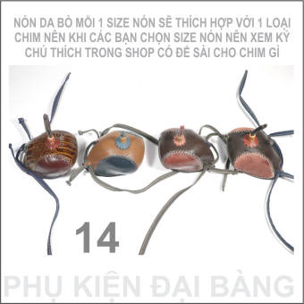 Nón chim đại bàng