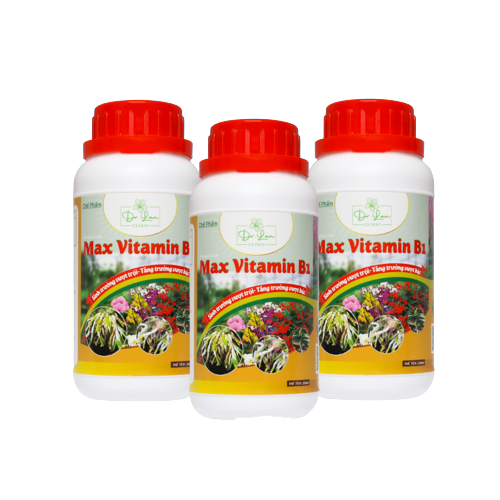 Phân Bón Max Vitamin B1 (17 loại Amino acid B1) – Chai 250 ml Chuyên Cho Phong Lan
