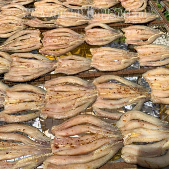 500gr Khô Cá Lóc Châu Đốc Tẩm Ướp Gia Vị Tỏi, Ớt Vừa Ăn Phơi 2 Nắng Làm Nhà Thơm Ngon