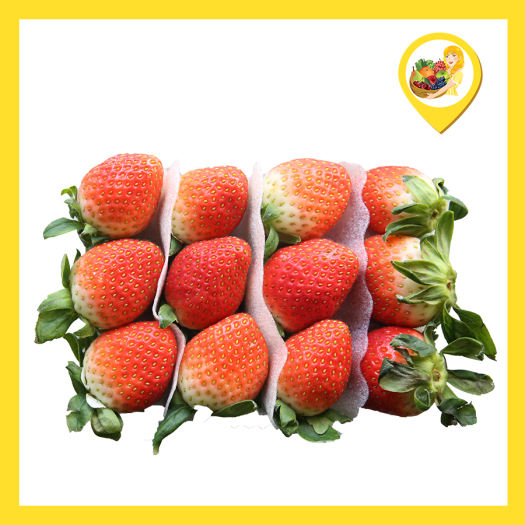 Dâu Tây Hàn Quốc - Hộp 330 g -  Trái lớn, đỏ au đẹp mắt - Giao nhanh