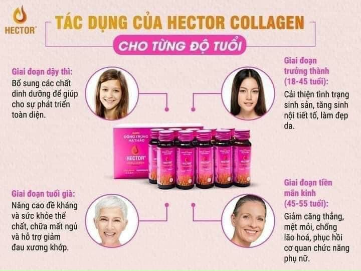 Nước đông trùng hạ thảo hector collagen