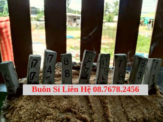 Túi Nhang xin số đề (bịch 10 viên tặng 1 viên) tài lộc đã phép hương dâng số, hương mang lại may mắn