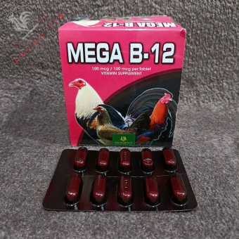 mega b12 - thuốc nuôi gà cao cấp Philippines . thuốc bổ gà đá( 1 vĩ / 10 viên ) thuốc gà chọi , thuốc gà đá