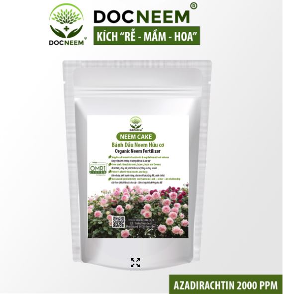 Bánh Dầu Neem - phân bón hữu cơ dạng bột