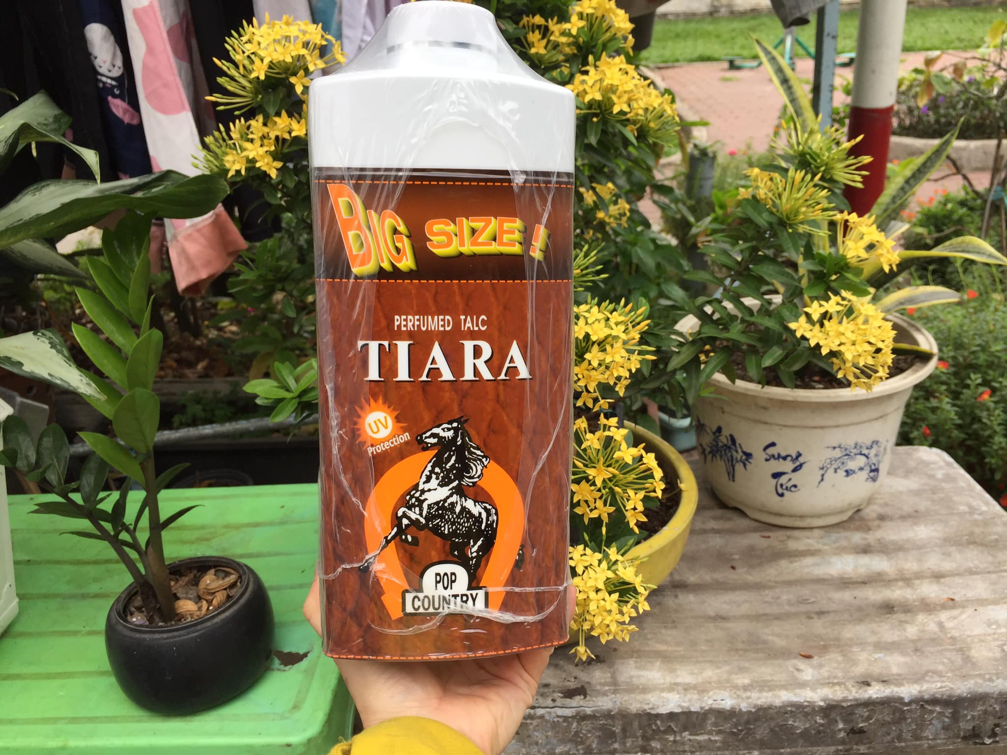 1 chai Phấn rôm con ngựa Tháo Lan Tiara Pop Country Big Size 350 g dành cho mọi lứa tuổi