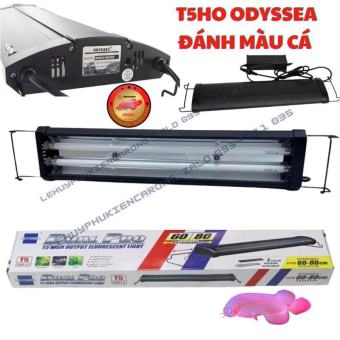 Đèn ODYSSEA T5HO DUAL PRO | Đánh Màu Cho Cá Rồng 2 Bóng T5HO - Ánh Sáng 10.000K