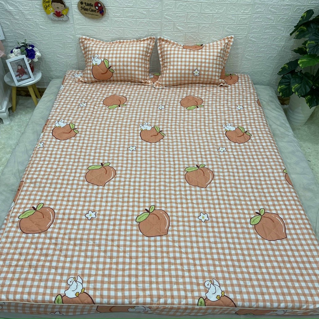 Bộ ga gối chun chần cotton poly, ga kèm 2 vỏ gối nằm chần bông, set ga gối 3 món, drap giường, đủ kích thước m2/m6/m8/2m2 họa tiết đào cam, bộ sưu tập ga gối năm 2022