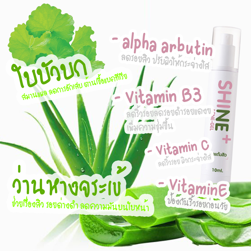 เจลแต้มสิว เจลใส SHINE acne ชิเน่ เจลว่านหางจเข้ แต้มสิว ละลายสิว สิว ครีมกำจัดสิว สิวอุดตัน เจลลดรอยสิว เจลใบบัวบ