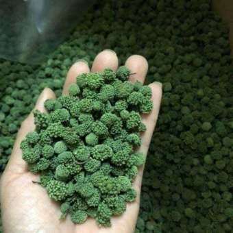 100g nụ hoa tam thất không cuống