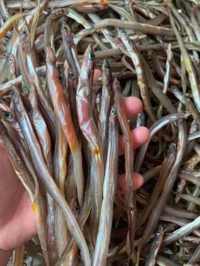 KHÔ CÁ LÃI TRỨNG VÀNG 500GR MÌNH TRIẾT ĐẶC SẢN  TƯƠI NGON SIÊU RẺ NGON BỔ