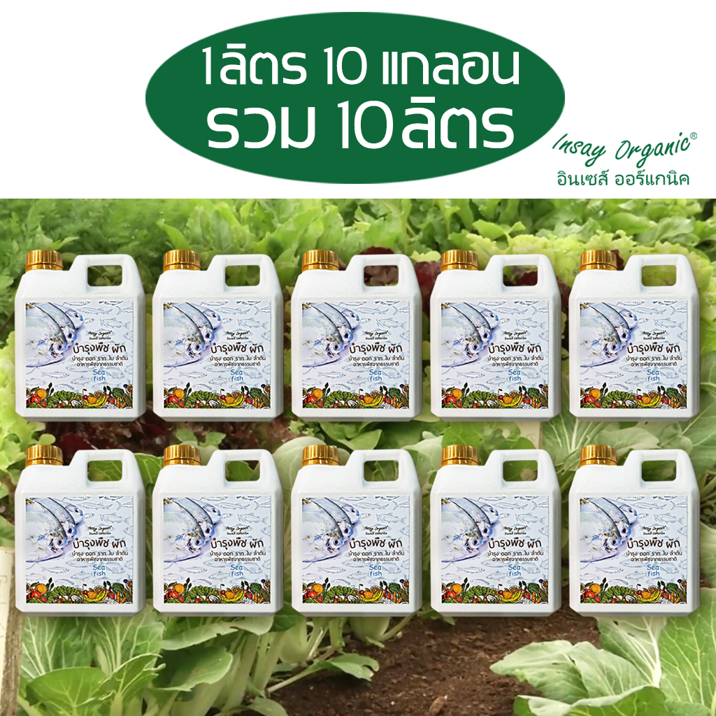 Insay Marine Fish Compost Contains Amino Acids, Nitrogen, Microorganisms, Nutrients, and Helps with Growth. Liquid Fertilizer for Plants, Set of 1 Liter, 10 Gallons ราคา 1,480 บาท*ส่งฟรี