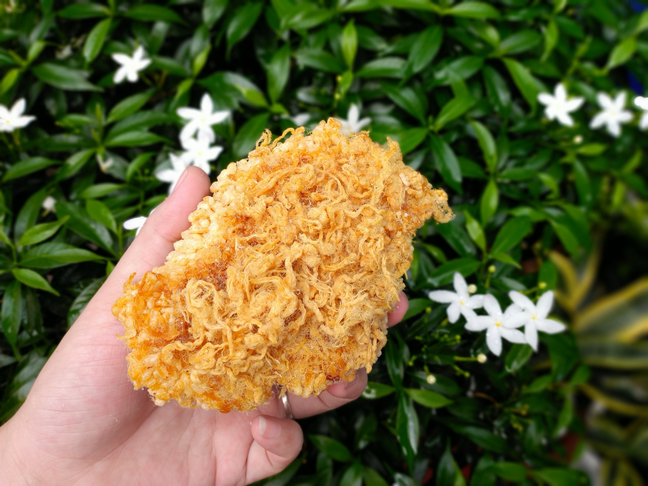 Cơm cháy siêu chà bông 250gr