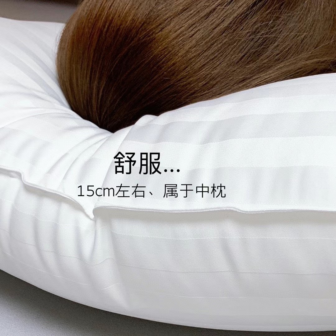 -RUỘT GỐI HILTON PHIÊN BẢN MỚI NHẤT 2022-1 đôi- TOKYO.BEDDING