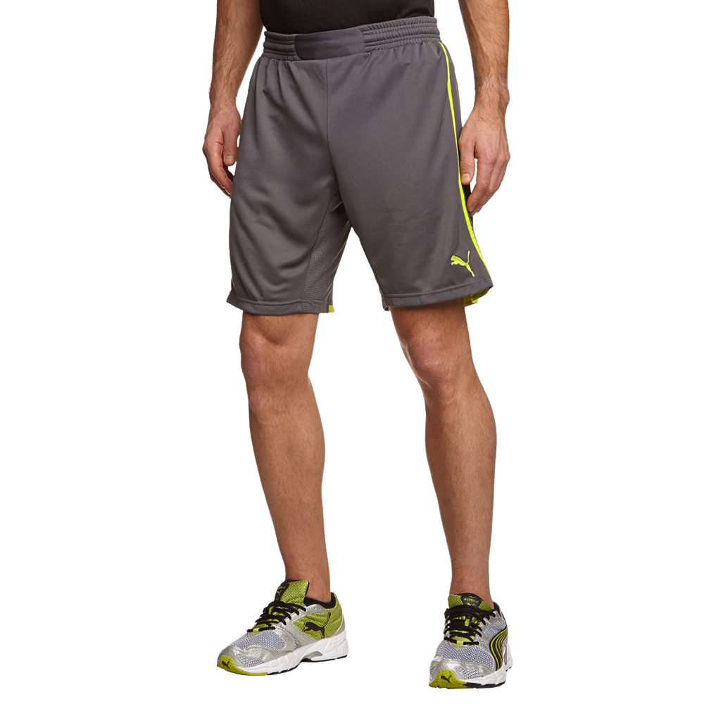 Puma liga core on sale shorts