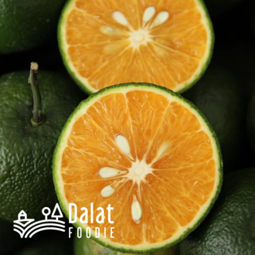 Cam Sành 1Kg - [Giao hàng ngay tại TPHCM]