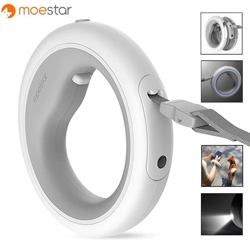 flexi leash flashlight