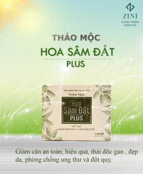Giảm cân Hoa Sâm Đất Plus Dành Cho Người Cơ Địa Béo Lâu Năm