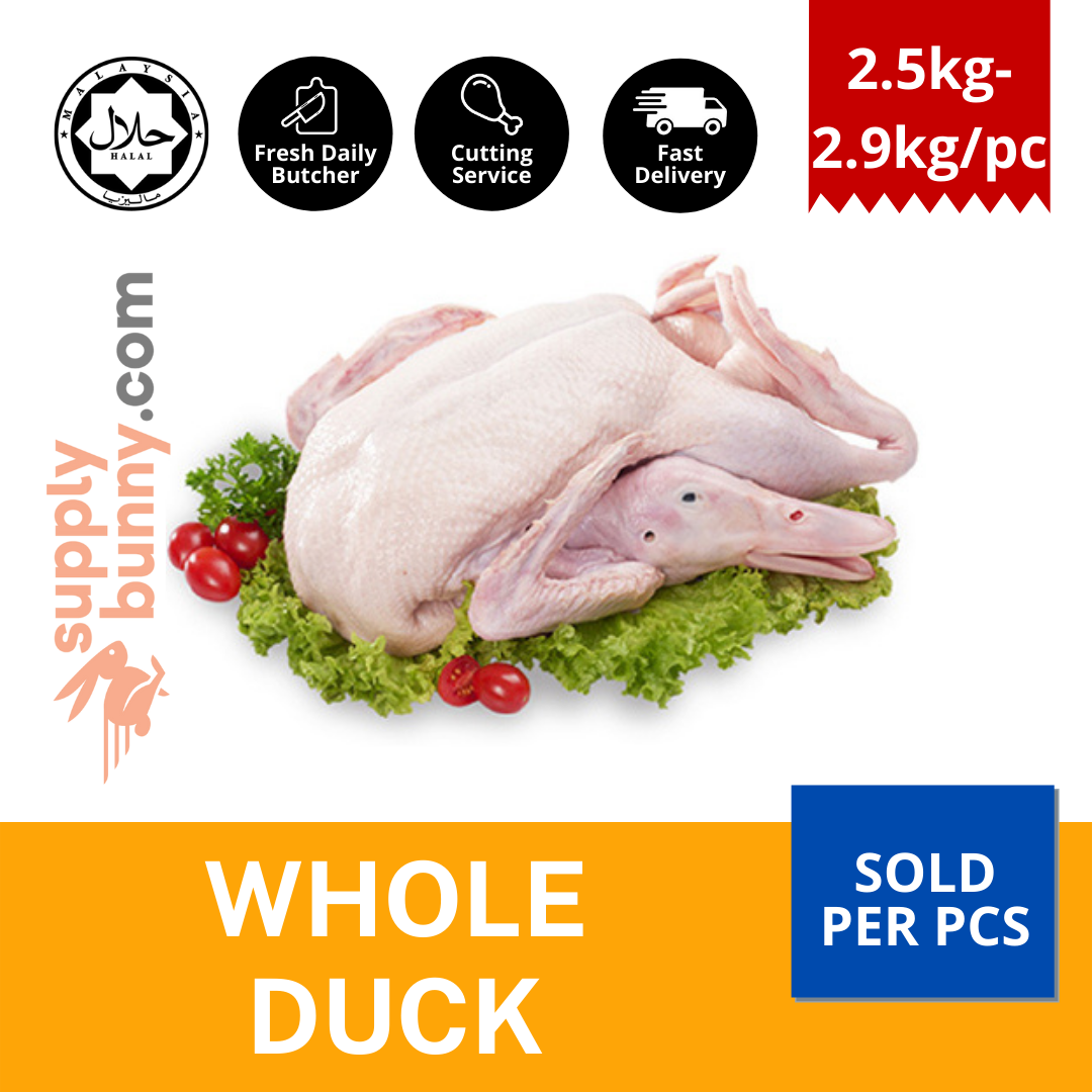 Frozen Whole Duck 2.5kg-2.9kg±/pc (sold per pcs) Halal ✔️ 全鸭 MCY Food Supply Itik