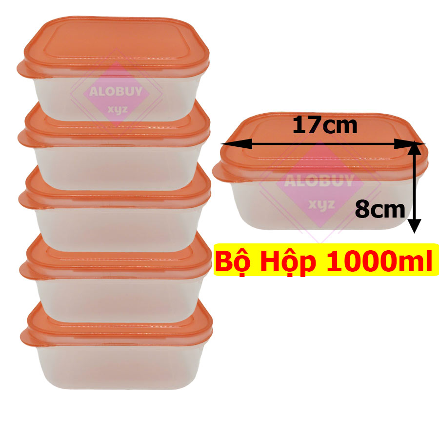 Combo 5 Hộp nhựa đựng thực phẩm dung tích 1000 ml - Shop giao Màu ngẫu nhiên- HB05, Alobuy, alobuyvn
