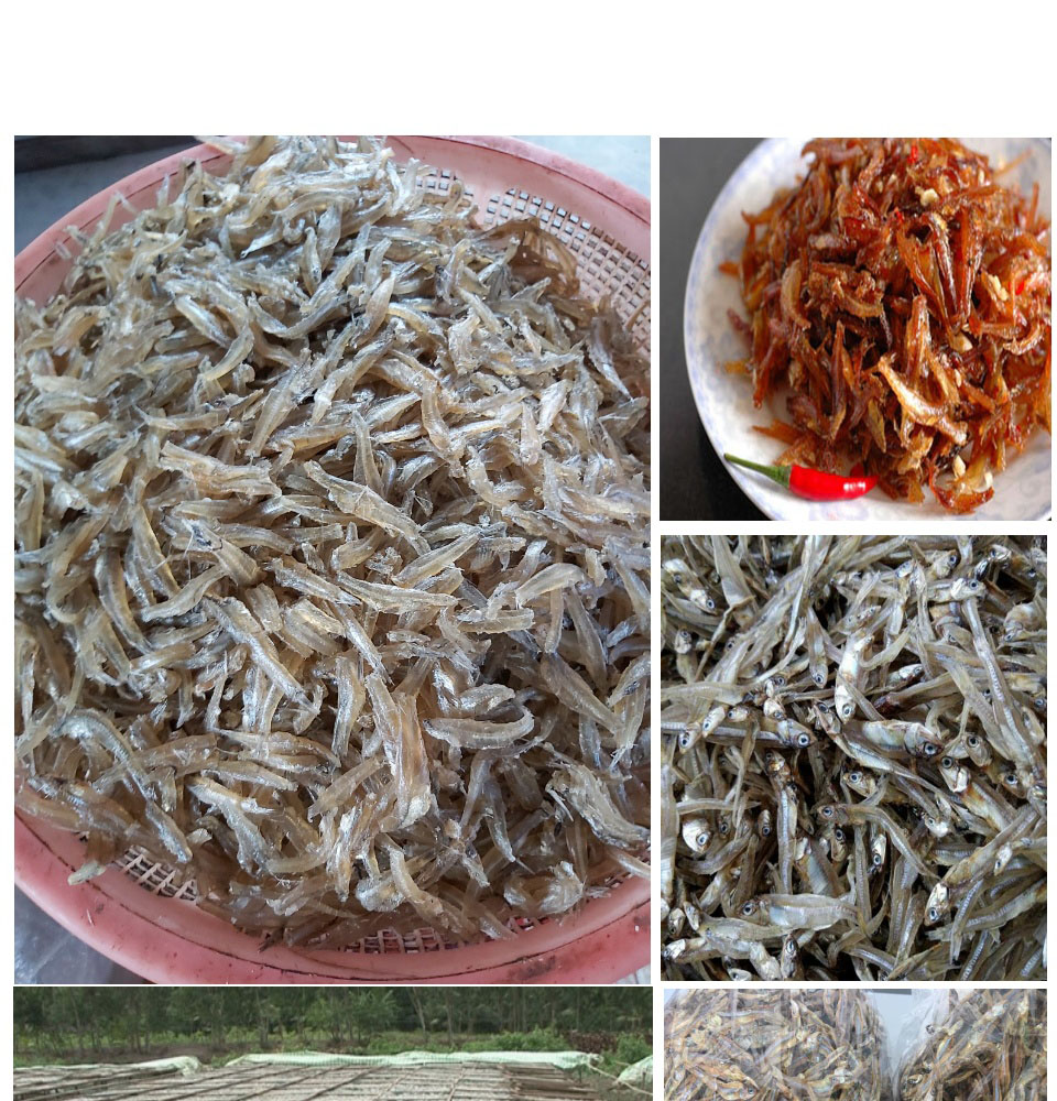 Cá cơm khô loại ngon 500g,1kg - đặc sản nam định