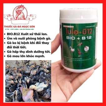 Bio b12 úm gà con , úm gà con, úm gà con mới nở tăng tỉ lệ sống 101%, thích hợp cho gà asil, kelso, f1, tăng cường b12 gà con tăng đề kháng, bóng đèn úm gà bóng úm gà