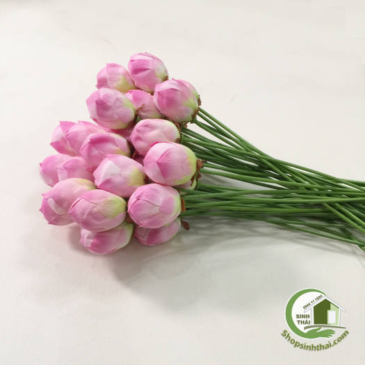 Cành hoa sen giả - cành sen vải lụa cao cấp