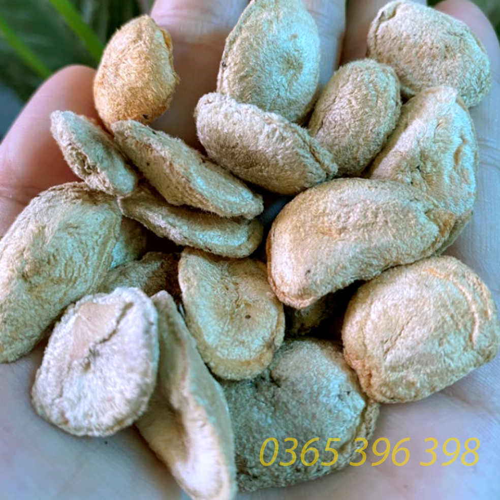 1 Hạt sành ( hạt sang ) trắng của người dân tộc , giải quyết đau dạ dày ( một hạt dùng thử)