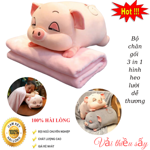 Bộ chăn gối 3 trong 1 hình heo lười dễ thương