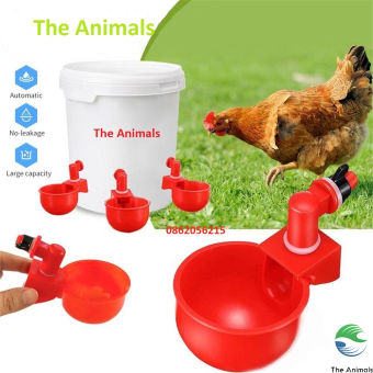 Máng Uống Tự Động Cho Gà, Vịt, Chim Thế Hệ Mới