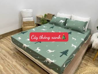 Ga Trải Giường Bo Chun Bọc Đệm 1mx2m,cây thông xanh