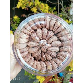 HẠT ĐIỀU LOẠI A RANG MUỐI Bình PHƯỚC (500G)